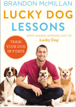 Lucky Dog Lessons eBook