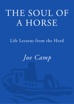 The Soul of a Horse eBook