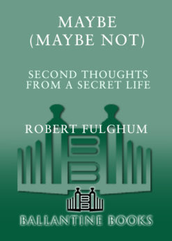 Maybe (Maybe Not) eBook