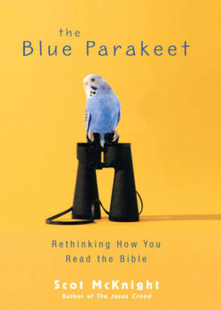The Blue Parakeet eBook