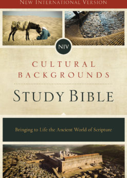NIV, Cultural Backgrounds Study Bible, eBook