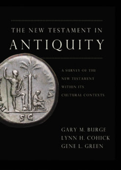 The New Testament in Antiquity eBook
