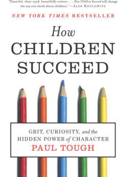 How Children Succeed eBook