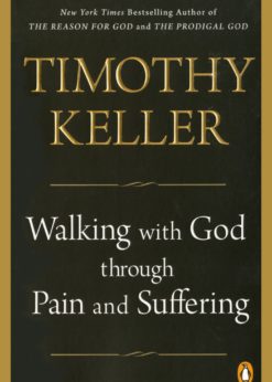 Walking with God through Pain and Suffering eBook