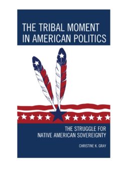 The Tribal Moment in American Politics eBook