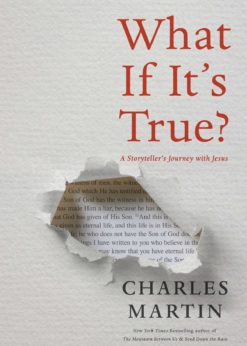 What If It's True?: A Storyteller’s Journey with Jesus eBook