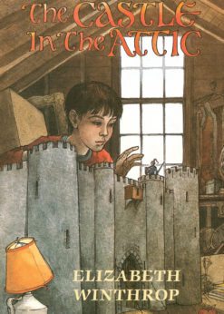 The Castle in the Attic eBook