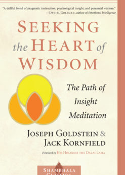 Seeking the Heart of Wisdom: The Path of Insight Meditation eBook