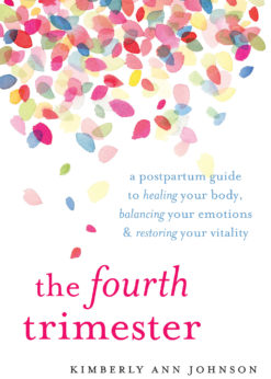 The Fourth Trimester eBook