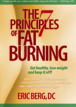 The 7 Principles of Fat Burning eBook