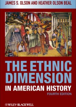 The Ethnic Dimension in American History 1st edition eBook