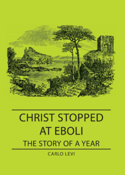 Christ Stopped at Eboli - The Story of a Year eBook