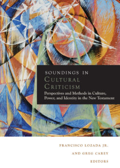 Soundings in Cultural Criticism eBook
