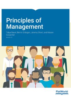 Principles of Management eBook