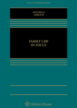 Family Law in Focus eBook