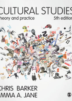 Cultural Studies: Theory and Practice eBook