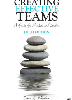 Creating Effective Teams: A Guide for Members and Leaders eBook
