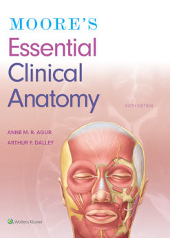 Moore's Essential Clinical Anatomy eBook