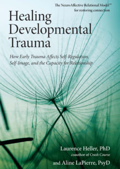 Healing Developmental Trauma eBook