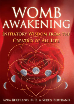 Womb Awakening: Initiatory Wisdom from the Creatrix of All Life eBook
