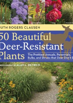 50 Beautiful Deer-Resistant Plants eBook