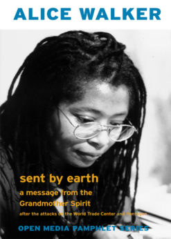 Sent by Earth eBook