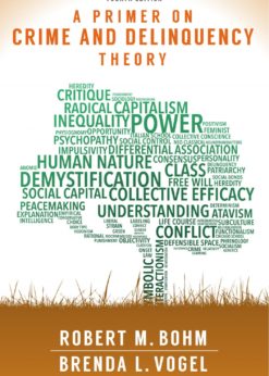A Primer on Crime and Delinquency Theory eBook