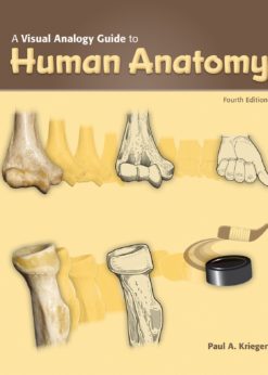 A Visual Analogy Guide to Human Anatomy eBook
