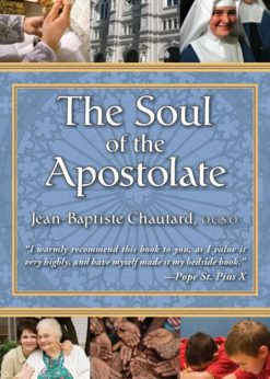 The Soul of the Apostolate eBook