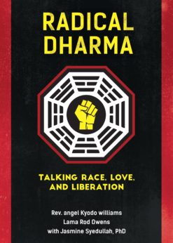 Radical Dharma eBook