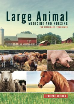 Large Animal Medicine and Nursing for Veterinary Technicians eBook