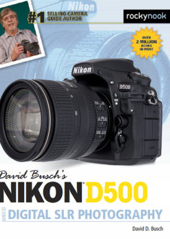 David Busch’s Nikon D500 Guide to Digital SLR Photography eBook