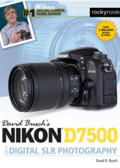 David Busch's Nikon D7500 Guide to Digital SLR Photography eBook