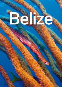 Lonely Planet Belize eBook