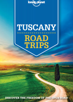 Lonely Planet Tuscany Road Trips eBook