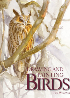 Drawing and Painting Birds eBook