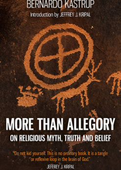 More Than Allegory eBook