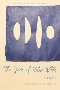 The Year of Blue Water eBook