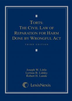 Torts: Theory and Practice eBook