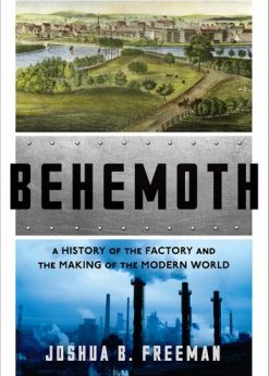 Behemoth: A History of the Factory and the Making of the Modern World eBook