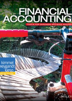 Financial Accounting: Tools for Business Decision Making eBook