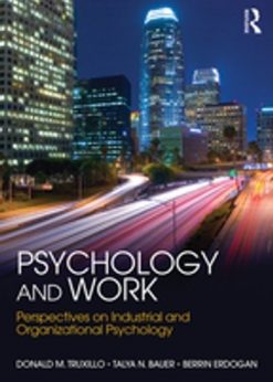 Psychology and Work: Perspectives on Industrial and Organizational Psychology eBook