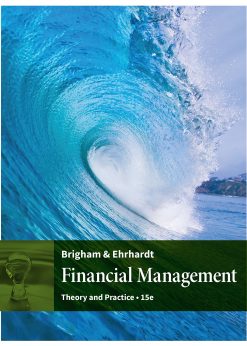 Financial Management: Theory & Practice eBook