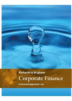 Corporate Finance: A Focused Approach eBook