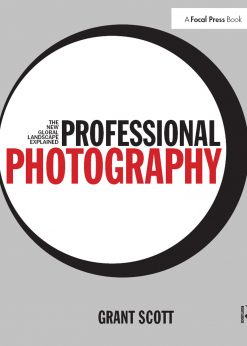 Professional Photography: The New Global Landscape Explained eBook