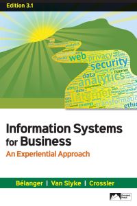 Information Systems for Business: An Experiential Approach, Edition 3.1 eBook