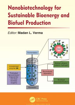 Nanobiotechnology for Sustainable Bioenergy and Biofuel Production eBook