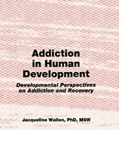 Addiction in Human Development: Developmental Perspectives on Addiction and Recovery eBook