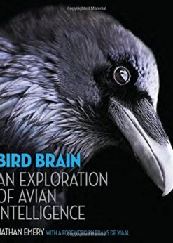 Bird Brain: An Exploration of Avian Intelligence eBook