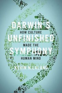 Darwin's Unfinished Symphony: How Culture Made the Human Mind eBook